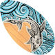 Enero Surf Accessories