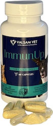 Immunup 60caps