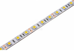 Jager LED Лента 24V Регулируемо Бяло 5м Jager LED Лента 24V Регулируемо Бяло 5м