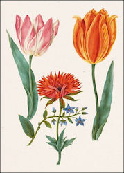Ευχετήρια Κάρτα Φάκελο Bekking & Blitz Two 'broken' Tulips An Anemone