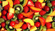 Gerakis Juicy Fruits Duft für Kerze 1lit