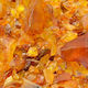 Gerakis Amber Duft 1 Liter