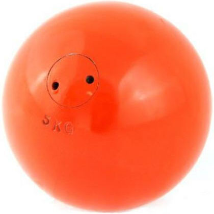 Maxwel Pilates Ball 5kg in Gray Farbe