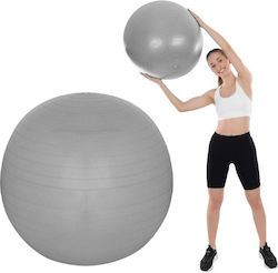 XQ Max Mini Minge Pilates 20.5cm 1.099kg în Culoare Gri