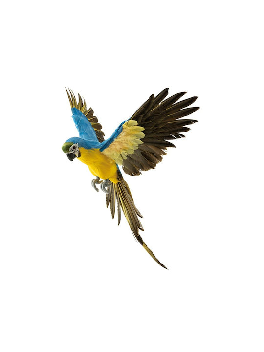 Decorative Parrot Open Wings Blue-Yellow 56x53cm 157.003.0107.16