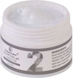 Fsm Gel Builder Nr 2