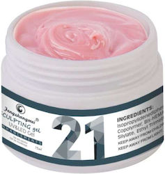 Fsm Gel Builder Nr 21