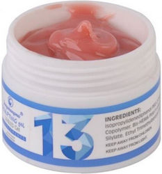 Fsm Gel Builder Nr 13