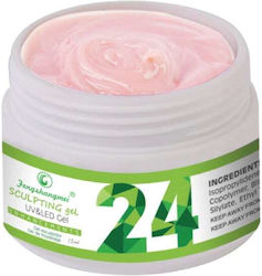Fsm Gel Builder Nr 24