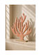 Coraliu Lemnos Emailat 24x5x27,5cm Monocrom