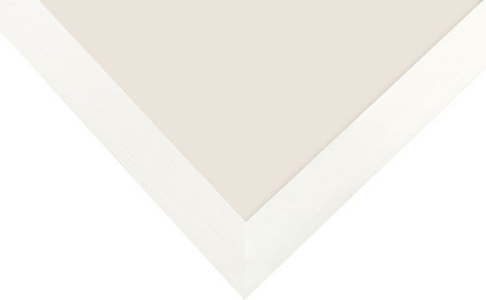 Focus Willow Plastic Photo Frame With White Frame Focus Willow Plastic Photo Frame With White Frame