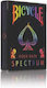 Bicycle Rider Back Spectrum