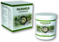 Easyyem Faunakur – Vogelgesundheitsbedarf Vitamine für die Fortpflanzung von Vögeln – 100g Easyyem Faunakur – Vogelgesundheitsbedarf Vitamine für die Fortpflanzung von Vögeln – 100g
