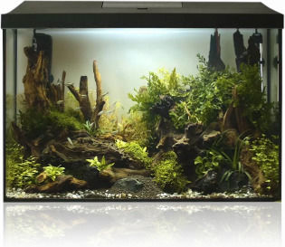 Aquael Set Leddy 40 Fish Aquarium with Lighting Heater Filter 41x25x35cm Black