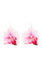 Cercei Fuchsia