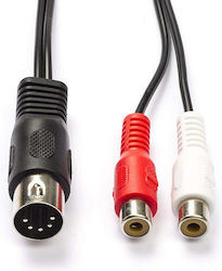 Nedis CAGL20250BK02 2x RCA-Buchse - 2x RCA-Buchse 0,2 m