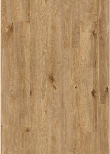 Laminated Flooring Kronostep More Oak Solar K405 12.00 Mm 33/ac6 Beveled Edge
