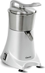 Alfa Frost Automatischer Obstverarbeitungsmaschine 230W
