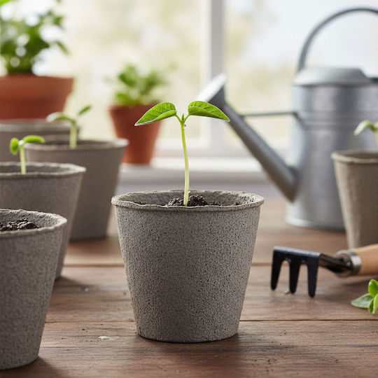 Biologisch Abbaubarer Pflanzgefäß Ø8 Cm Papier Rund Set 10 Stück Pflanzgefäße Biologisch Abbaubarer Pflanzgefäß Ø8 Cm Papier Rund Set 10 Stück Pflanzgefäße