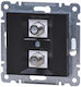 Lumina Double Connector Type F Black Wl3263