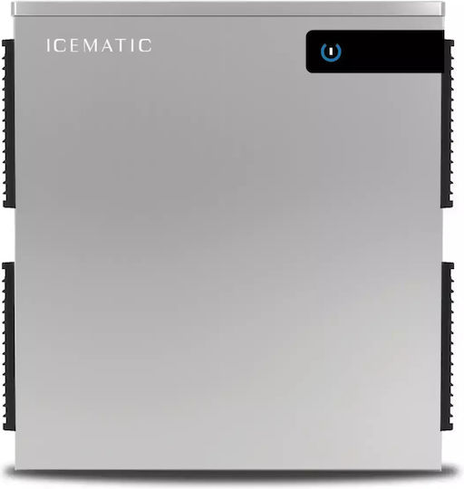 Icematic Berries Eismaschine Eiszerkleinerer mit Täglicher Produktion 400kg Ohne Lager