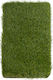 Biokarpet Sole Grass Eco 38mm-400x300