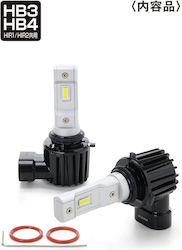 PIAA Λάμπα HB3 / HB4-9006 / HIR2-9012 LED Ψυχρό Λευκό PIAA Λάμπα HB3 / HB4-9006 / HIR2-9012 LED Ψυχρό Λευκό