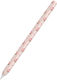 Θήκη Στυλό Σιλικόνης Ahastyle Pt65ft Apple Pencil Pro 2 Ροδάκινο Ahastyle