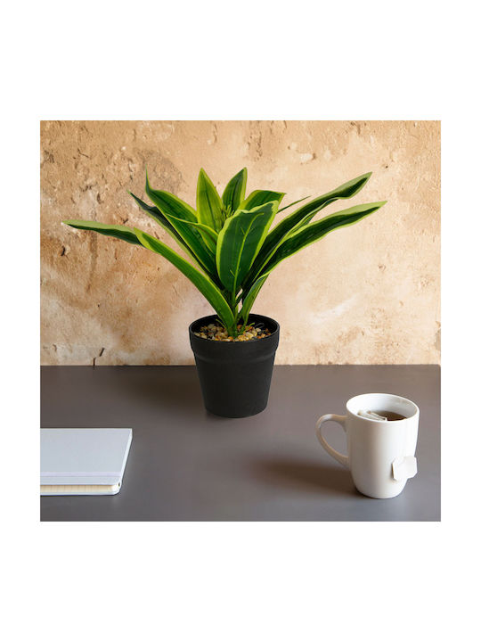 Plastic Decoration Striped Tray 20 X 8.5 Cm