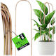 Kadax Bamboo Arch Support 75 X 15 Cm 5 Pcs