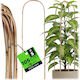 Kadax Bamboo Arch Support 105 X 15 Cm 5 Pcs
