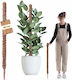 Kadax Coconut Plant Stake Pot Support 90 Cm 1 Pc