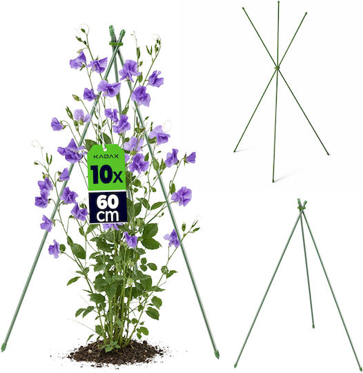 Kadax Set 3 Piese Țepușă Conică Pentru Grădină 60 Cm 10 Bucăți
