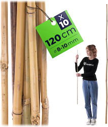 Kadax Bamboo Garden Stakes 120 Cm X 8–10 Mm 10 Pcs