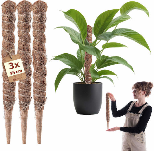 Kadax Kokos Pflanzenspieße Topfstütze 45 Cm 3 Stück