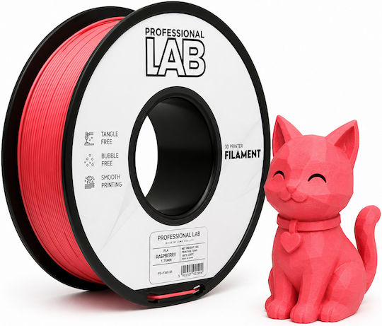 PLA Филамент 3D Принтер Professional Lab 1 Kg 1.75 Mm Малиново Розов
