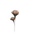 Floare Fruct Spumă 90 cm 52819 Zen Collection