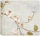 Jardin Binding Album Box 24x24 Cm 40 Pages White Cardboard Rice Paper Album Jardin Cream 24x24