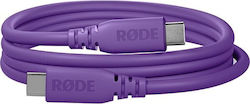 Rode USB 3.2 USB-C Masculin - USB-C 60W 2m (SC27-PU) Rode USB 3.2 USB-C Masculin - USB-C 60W 2m (SC27-PU)