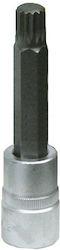 Long Socket Long Socket