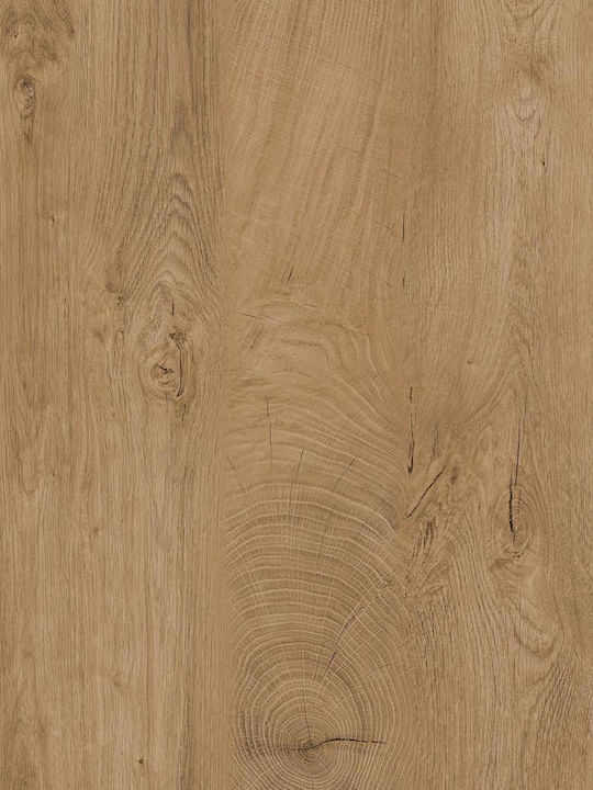 CMS Πάγκος Laminate 205x60x4cm INM271433 CMS Πάγκος Laminate 205x60x4cm INM271433