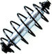 Sema Bait Rigs 30g 7102-231 Ncc