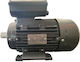 Single-Phase Electric Motor 3hp Maximum RPM 2800rpm 230V
