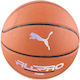 PUMA Basket Ball Indoor/Outdoor