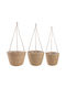 vidaXL Set of 3 Flower Pots