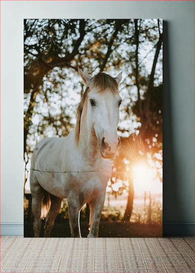 Panou Horse Sunrise Cal Răsărit 70x100