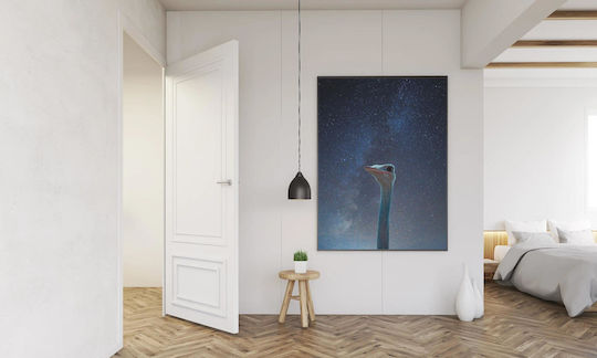 Panou Struț Privind Stelele Struțul Privește Stelele 70x100