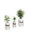Relaxdays Set 3 Bambus Pflanzgefäße Braun