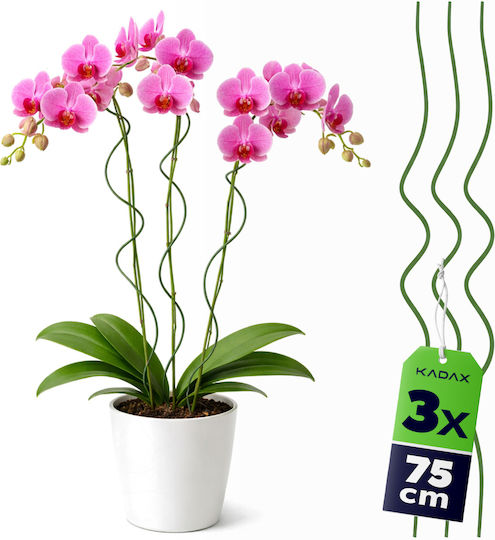 Kadax Spiral Plant Stake Green 75 Cm 3 Pcs