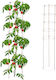 Relaxdays Pflanzenspieße Kletterstütze 150 Cm Set 2 Braune Dunkelbraune 150x30x30 Cm